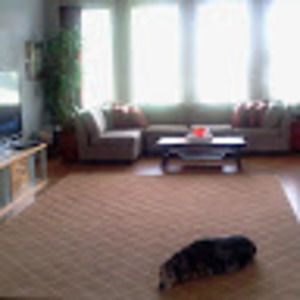 Meet your Posher, Marian